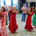 P1020778   © Joe Weingart 2012