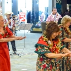 P1020833   © Joe Weingart 2012